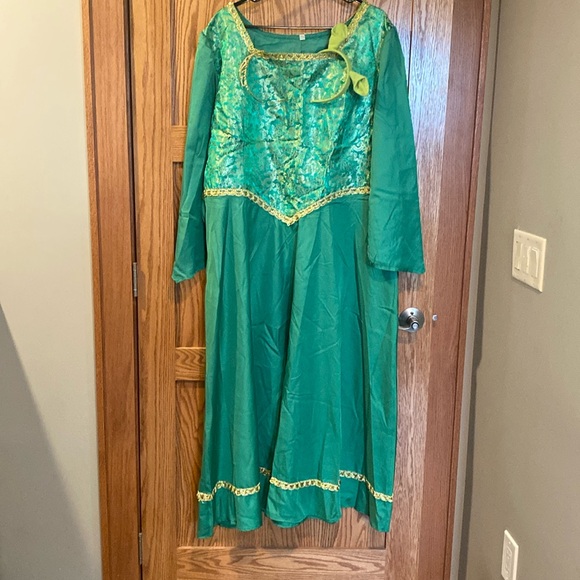 Shrek Princess Fiona Shrek Costume XXXL EUC - Picture 1 of 9